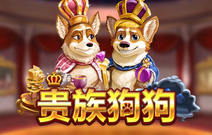55世纪官网
